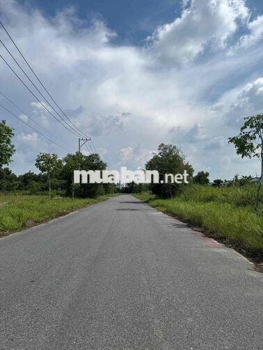 Lô đất 5x30 full thổ cư KCN Bàu Bàng, TP. HCM
