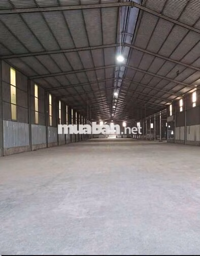 cho thuê xưởng 3800m, xe cont Hoc Mon