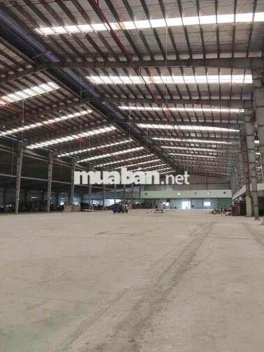 Cho Thuê Kho Xưởng KCN Đức Hoà Long An Dt 20.000m