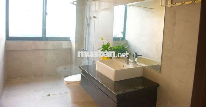 Cho thuê biệt thự nguyên căn Camellia hơn 8 PN