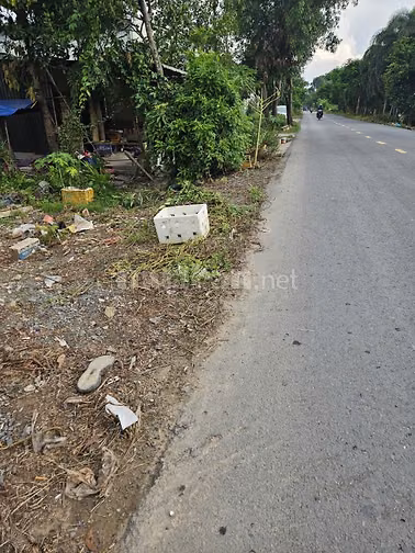 Đất 737m2 bán gấp mặt tiền đường Thanh Niên , BÌnh Chánh