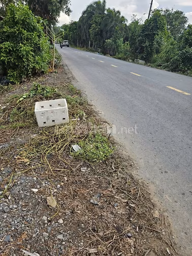Đất 737m2 bán gấp mặt tiền đường Thanh Niên , BÌnh Chánh