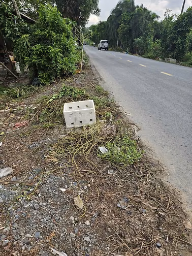 Đất 737m2 bán gấp mặt tiền đường Thanh Niên , BÌnh Chánh