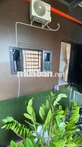 SIÊU PHẨM BAO FULL PHÍ - HÓC MÔN, THỚI TAM THÔN 17