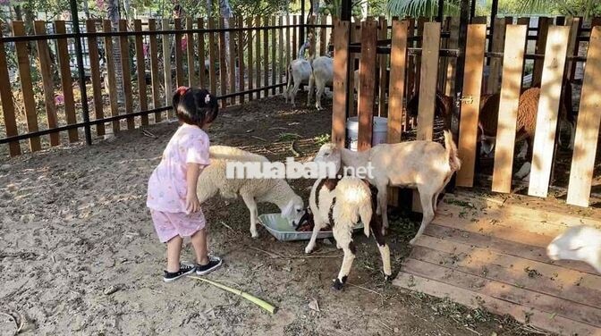 Vườn nghỉ dưỡng gần Sài Gòn - Chỉ nhận 1 nhóm/ngày