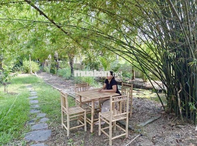 Vườn nghỉ dưỡng gần Sài Gòn - Chỉ nhận 1 nhóm/ngày