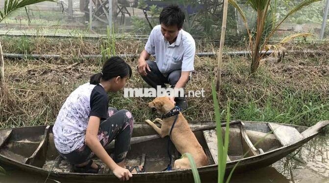 Vườn nghỉ dưỡng gần Sài Gòn - Chỉ nhận 1 nhóm/ngày