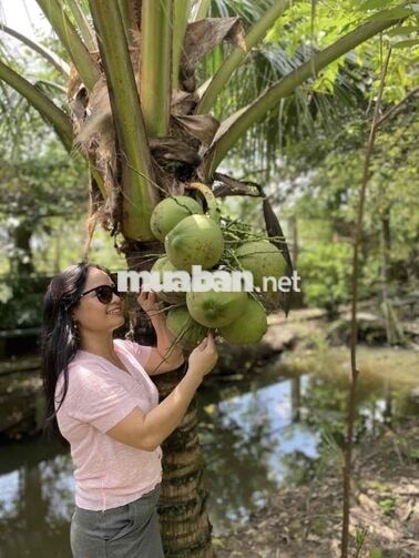 Vườn nghỉ dưỡng gần Sài Gòn - Chỉ nhận 1 nhóm/ngày