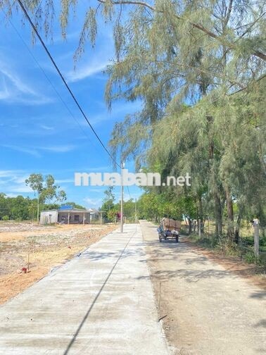 🔥Đất Sát Biển - Gần Chợ Vinh Thanh - Hạ Tầng Đẹp - Giá 295Triệu/ lô