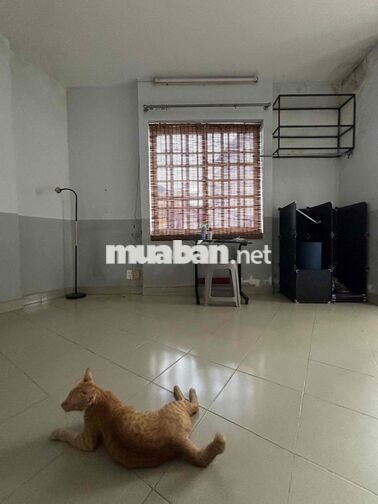 cần cho 1 hoặc 2 nữ thuê phòng