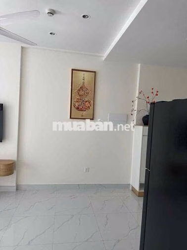 Cho thuê 2PN 1WC 54m2 DAqua Q8 full nt. Giá 13tr/tháng