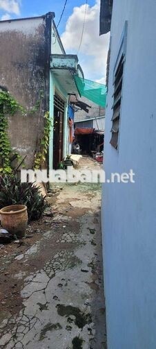 Bán nhà cấp 4 full thổ phù hợp gia đình nhỏ