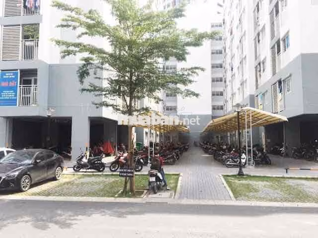 Share 1 phòng chung cư, WC riêng