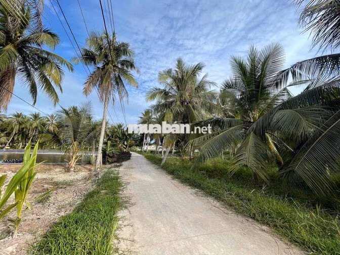 🌿 ĐẤT THỔ CƯ – GẦN CHỢ, GẦN TRƯỜNG 🌿