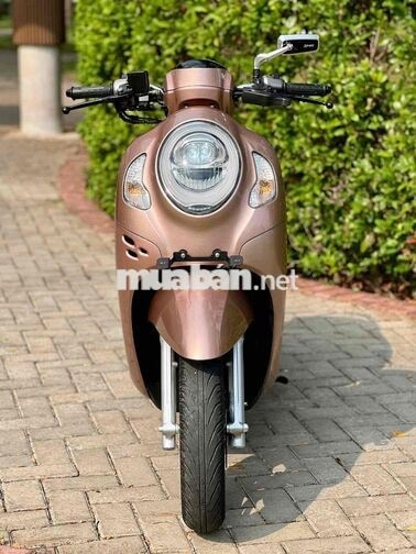 Honda Scoopy 2022 Nâu đồng tft