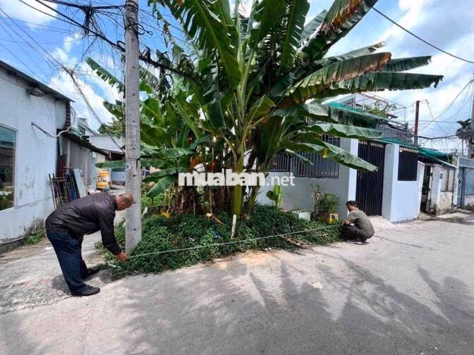 💥 1,85 TỈ SỞ HỮU LÔ ĐẤT 75M² – HIỆP BÌNH