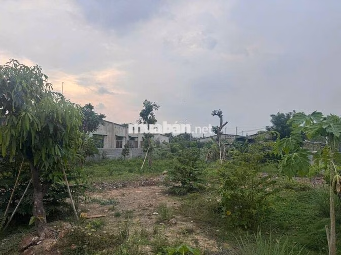 Bán 1000m2 đất vườn phường Tân Vạn có thổ cư