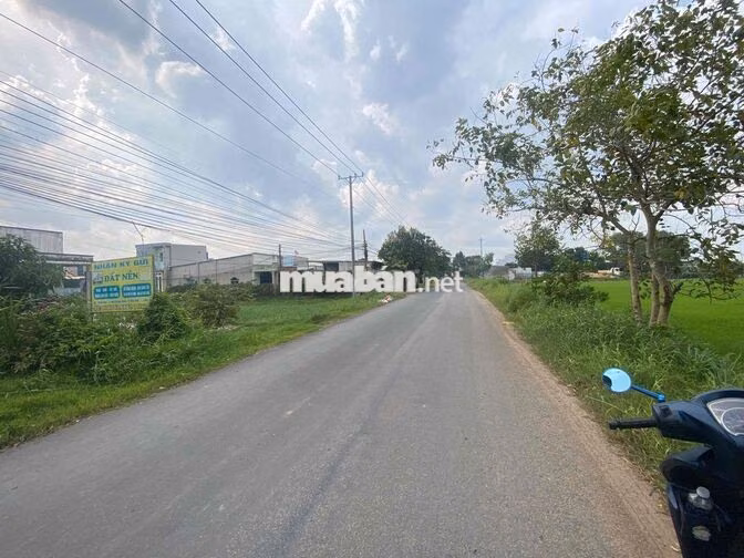 giảm sâu 500tr Lô Đất Đường nhựa 12m ngay TT Đức hoà - giáp Bình Chanh