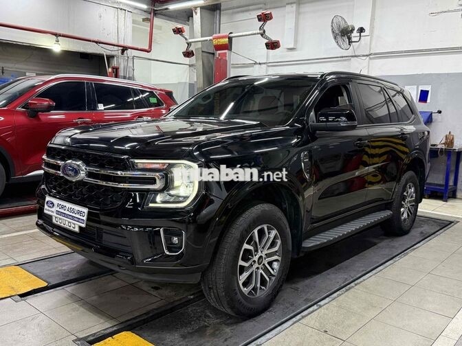 Everest Ambient Đi Rất Ít Xe Đẹp Bán Tại Hãng Ford
