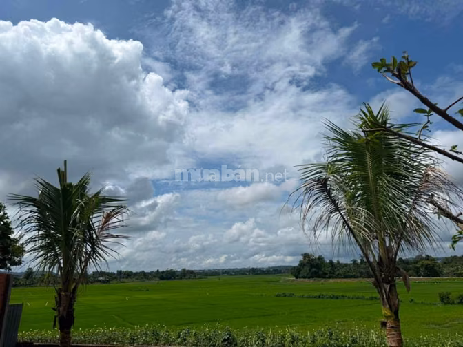 CHÍNH CHỦ BÁN ĐẤT ĐẸP THÔN TỰ THÀNH – PHƯỜNG EA KAO, ĐẮK LẮK