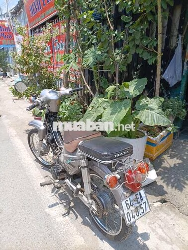 Honda Cub Xám Xe số