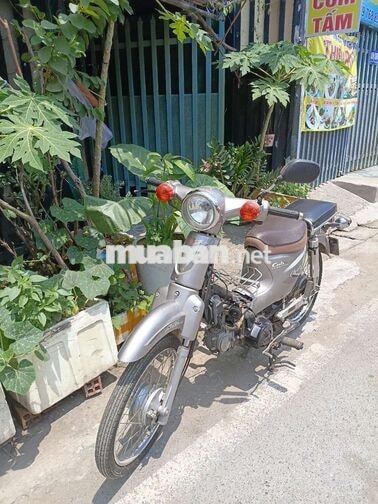 Honda Cub Xám Xe số