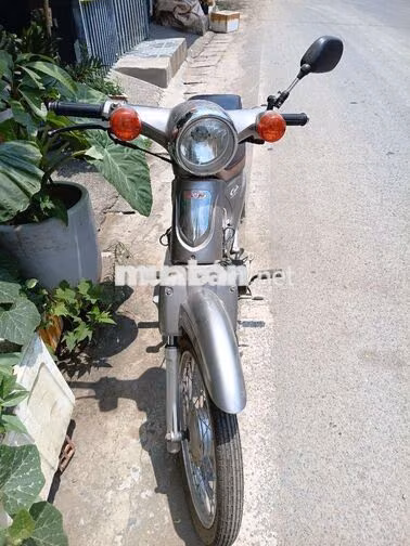 Honda Cub Xám Xe số