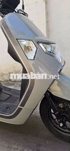 Honda Dunk 2022 Xám