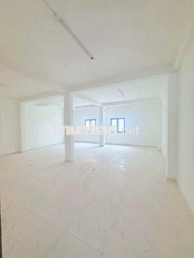 CHO THUÊ BIỆT THỰ KHU VIP - 6A Hoa Đào, P.2, PN - DTSD 500m2, Sàn Suốt