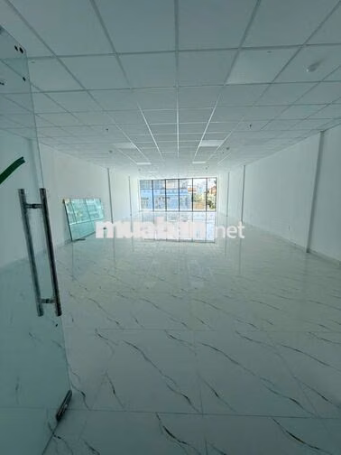 CHO THUÊ TÒA NHÀ MẶT TIỀN TÂN SƠN NHÌ – HẦM 7 TẦNG – THANG MÁY, PCCC