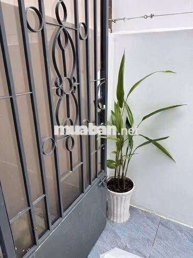 🏡 CHO THUÊ NHÀ CẤP 4 MỚI 100% GẦN SCENIA BAY – BẮC NHA TRANG