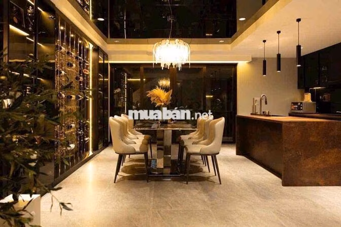 Cho thuê biệt thự đẹp đường Bình Lợi. Full nội thất cao cấp. Giá 50tr