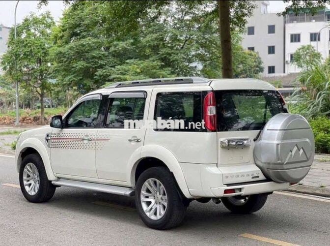 Ford Everest Trắng SUV
