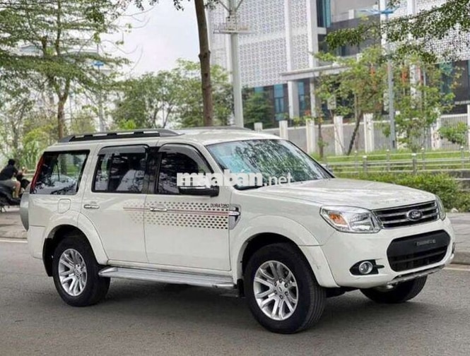 Ford Everest Trắng SUV