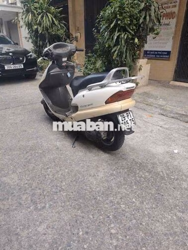 Honda Psi Trắng Nhật