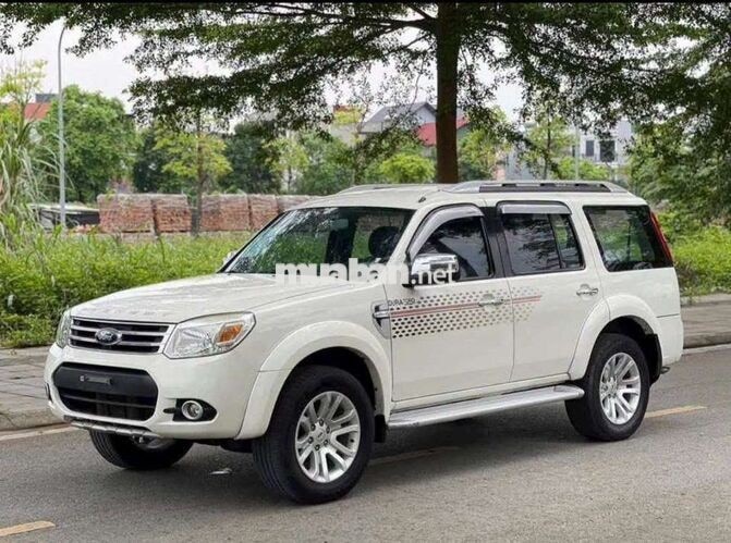 Ford Everest Trắng SUV