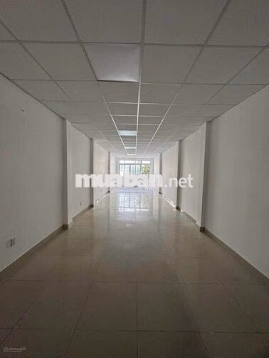 🏢 CHO THUÊ TÒA NHÀ TRẦN PHÚ – QUẬN 5 | DT 5X30M – 80TR/THÁNG