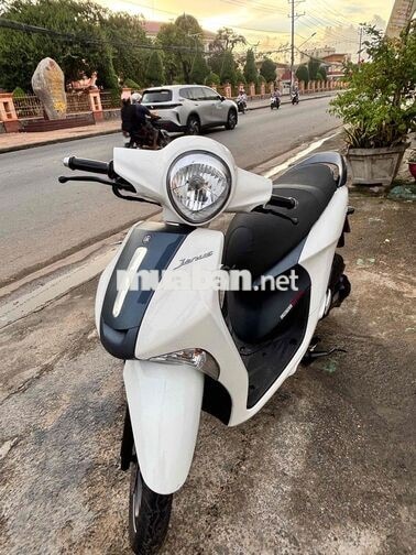 Yamaha Janus Trắng Xe tay ga