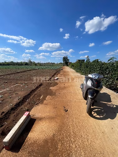 Cần tiền mua nhà bán đất chính chủ F0