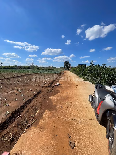 Cần tiền mua nhà bán đất chính chủ F0