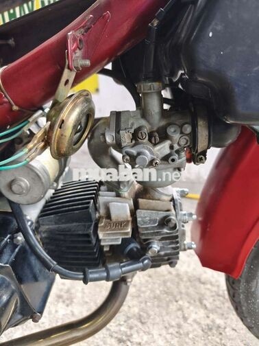 Honda Cub 50 cc LÊN 100cc Nhật CÓ ĐỀ BSTP TẢI HÀNG