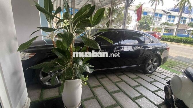 Lexus LS460L Đen Da 5 chỗ