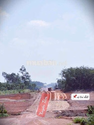 Xuyên Tâm 32M - 250Triệu -200m2