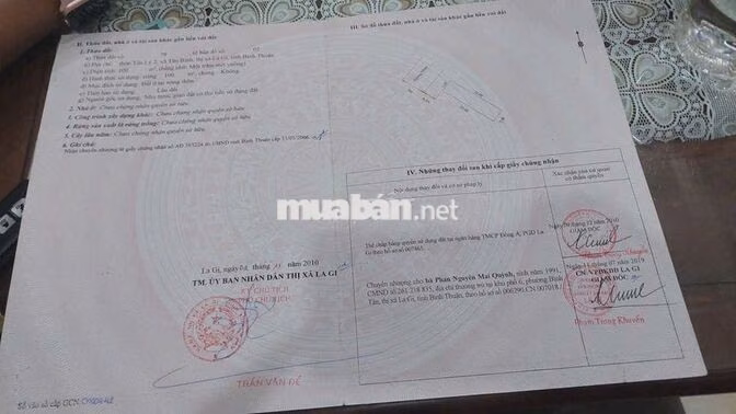 Đất 100m2 ngay trục đường lớn giá còn TL
