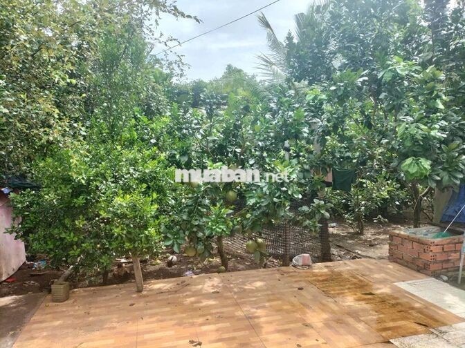 Nhà vườn nguyên căn tổng diện tích 400m2, diện tích nhà xây 150m2
