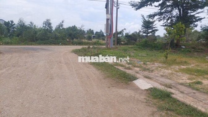 Đất 100m2 ngay trục đường lớn giá còn TL
