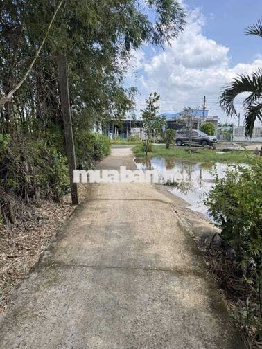 BÁN ĐẤT 95,1M² GẦN ĐT877 – TP. GÒ CÔNG, TIỀN GIANG (cũ)