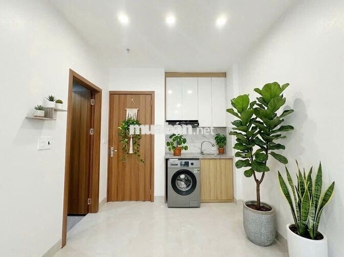 CHO THUÊ CCMN TẠI LẠC LONG QUÂN CÓ THỂ Ở LUÔN