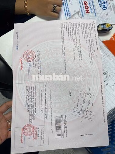 Chính chủ cần thanh lý gấp, hẻm xe hơi ngân hàng định gia 3.2..