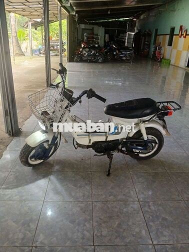 Honda Chaly Trắng